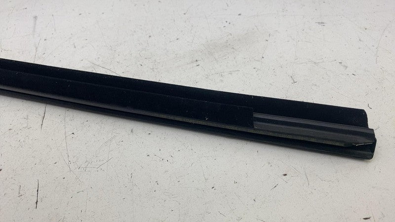 ⭕ 24-25 Tesla Model 3 Rear Driver SIde Door Window Seal Molding Belt Strip Left