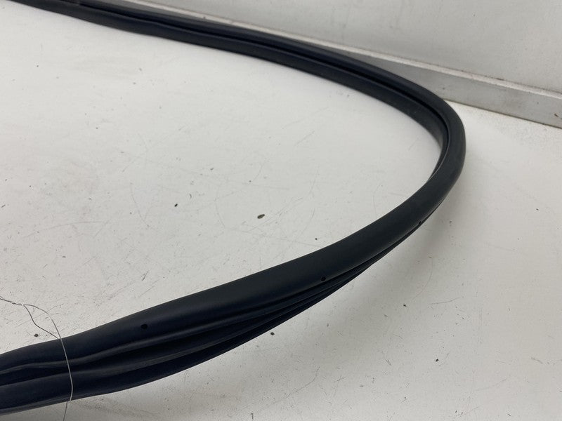 ⭕ 22-24 Hyundai Ioniq 5 Rear Passenger Side Door Weatherstrip Rubber Seal Right