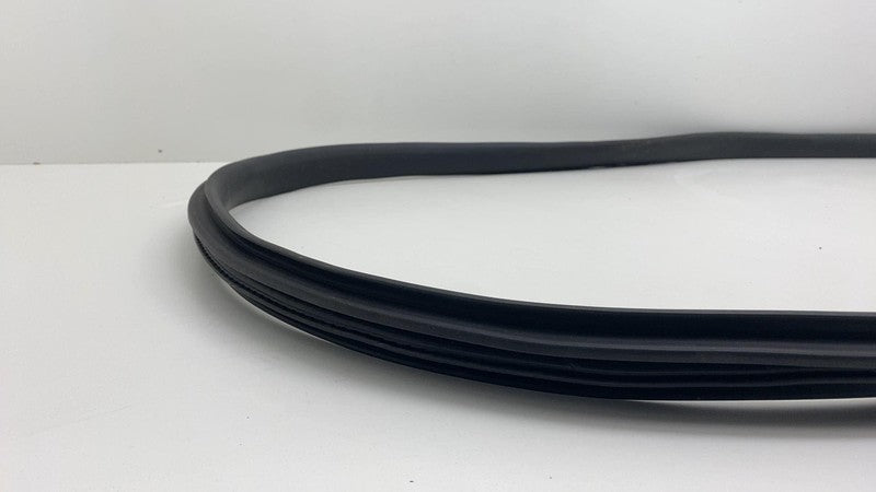 2020-2023 Tesla Model Y MY Front Driver Left Door Body Weatherstrip Rubber Seal