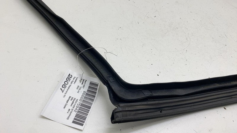 ⭕ 24-25 Model 3 Rear Right Primary Body Weatherstrip Rubber Seal RH 19