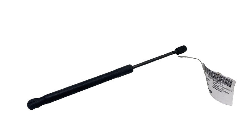 ⭕ 17-23 Model 3 Front Left / Right Bonnet Hood Shock Strut Support 109