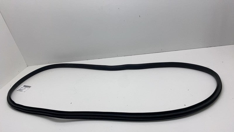 2020-2023 Tesla Model Y Front Passenger Right Door Body Weatherstrip Rubber Seal