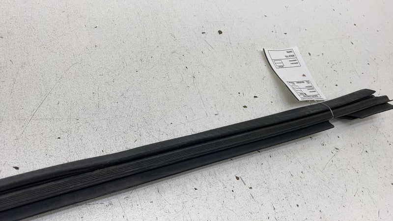 ⭕ 16-24 Tesla Model X Rear Driver Side Door Window Inner Belt Rubber S