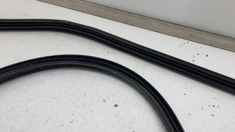 2022 2023 2024 Kia EV6 Rear Door Body Weatherstrip Rubber Seal Assembly OEM