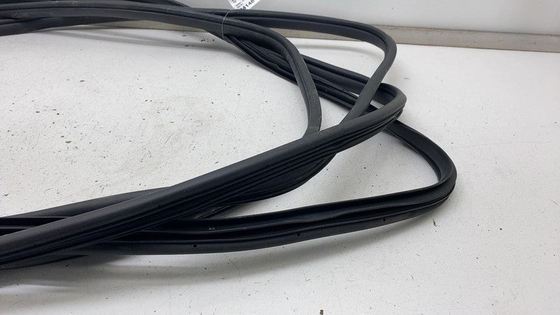 2022-2024 Kia EV6 Front & Rear Left  & Right  Door Body Weatherstrip Rubber Seal