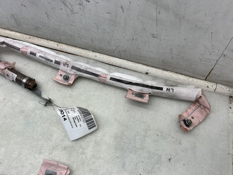 2016-2020 Tesla Model S MS Driver Side Curtain Airbag Module Left LH A